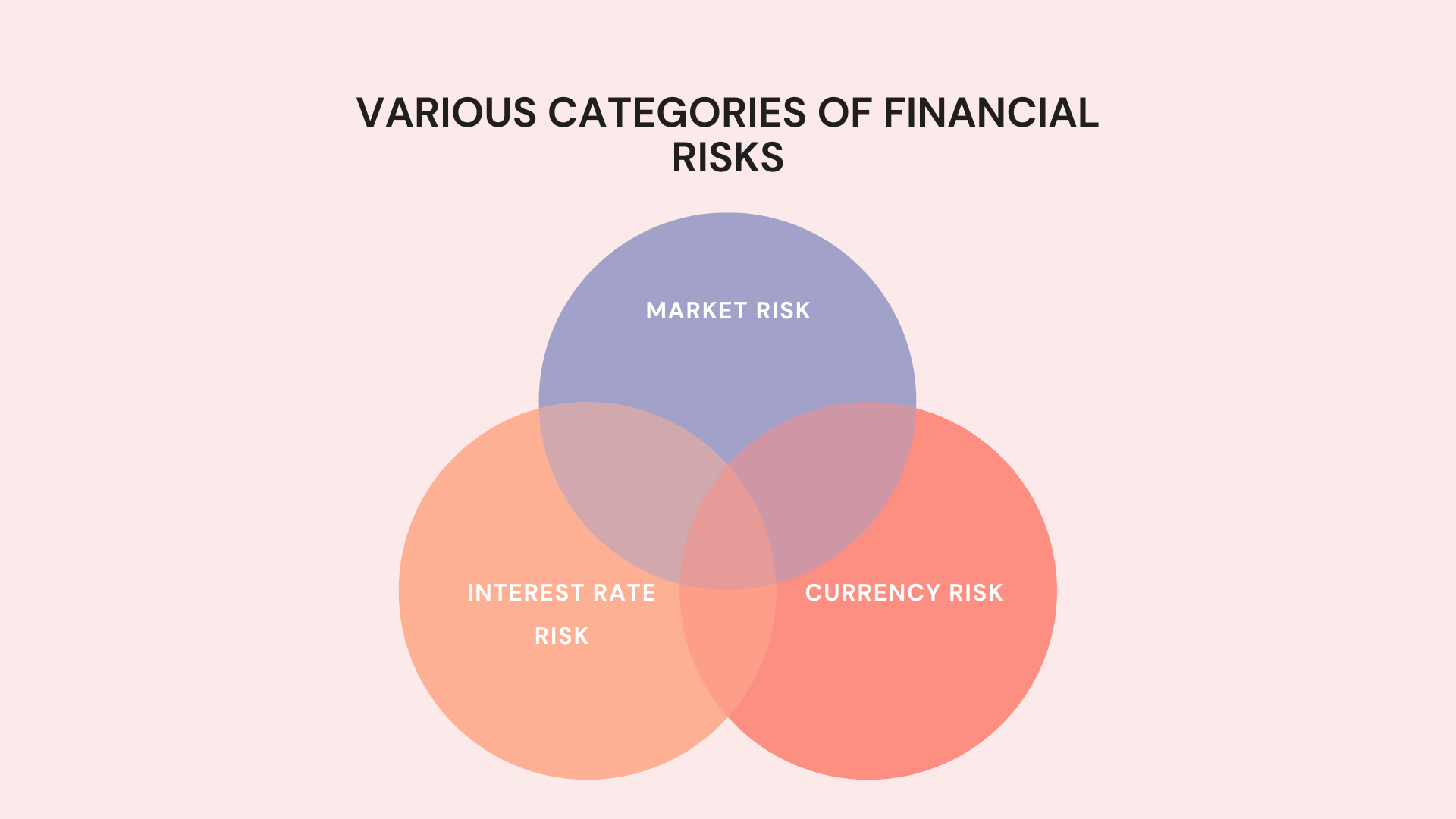 Various Categories of Financial Risks